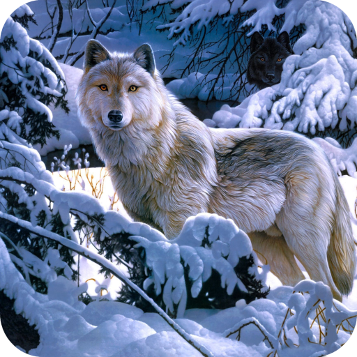 Wolf Wallpaper HD icon