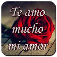 I love you so much my love love phrases