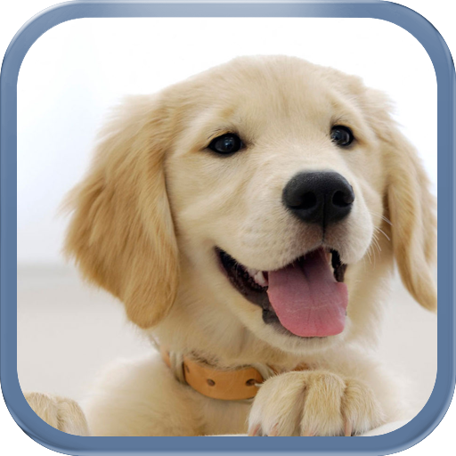 Jigsaw Puzzle Dogs icon