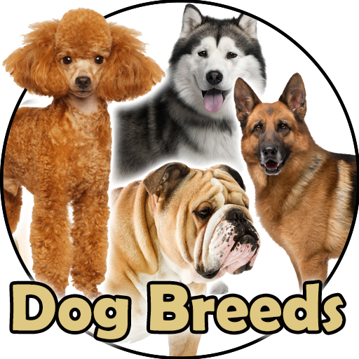 Dog Breeds 🐶 Golden Retriever | Rottweiler icon
