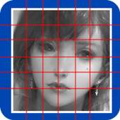 Grid Draw Lite on 9Apps