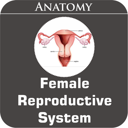 Female Reproductive System icon