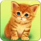 Cute Baby Cat