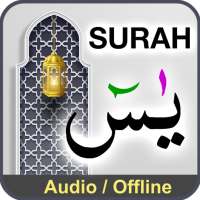 Surah Yaseen with Audio on 9Apps