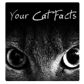 Your Cat Facts icon