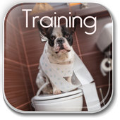 Tips For Dog Potty Training icon