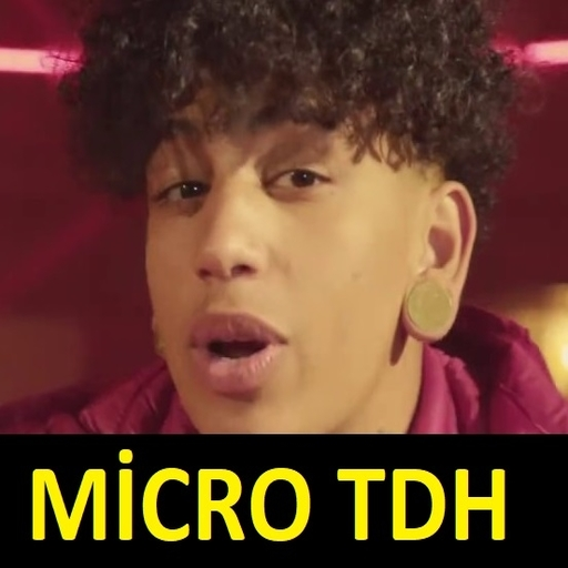 Micro TDH music offline icon