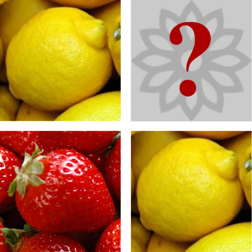 Concentrores, Train Your Memory. icon