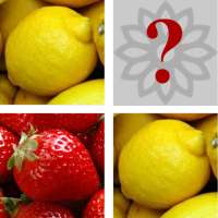 Concentrores, Train Your Memory.