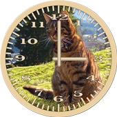 Cat 6 Tabby Analog Clock icon