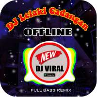 DJ Lelaki Cadangan Offline on 9Apps
