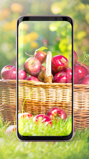 Apple Wallpaper HD For Phones screenshot 1