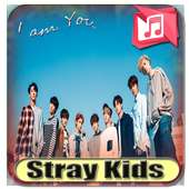 Stray Kids