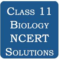 Class 11 Biology NCERT Solutions on 9Apps
