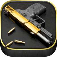 iGun Pro -Le origine Gun App