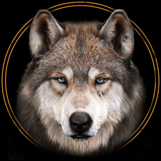 Lone Wolf Wallpapers HD icon