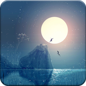 Ninja Locker theme icon