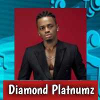 More are platnumz cool bintang musik on 9Apps