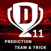 Dream 11 Experts - Dream11 Winner Prediction Guide