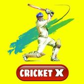 Cricket X icon