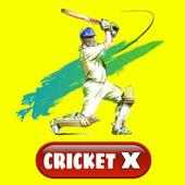 Cricket X