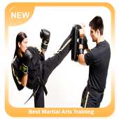 Best Martial Arts Training