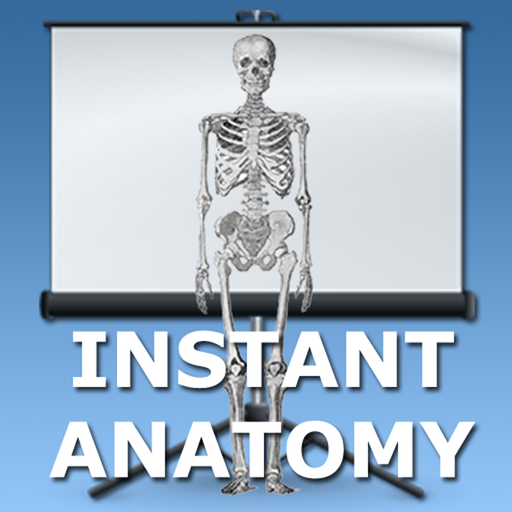 Easy Ways Abdomen and Thorax icon