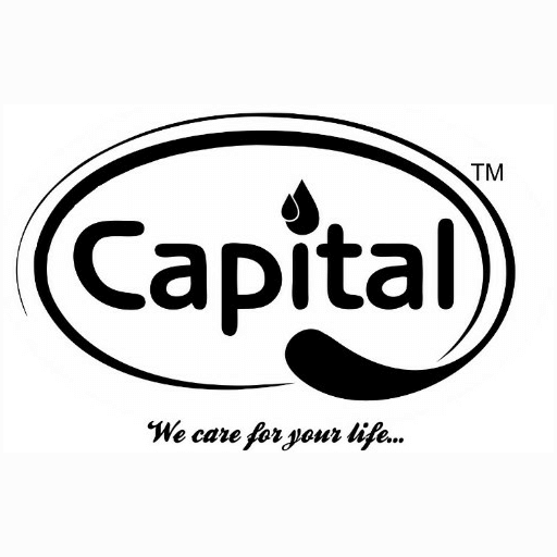 Capital icon