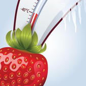 40 Below Fruity icon