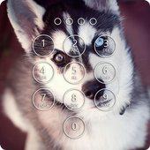 Siberian Husky Lock Screen icon