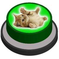 Meow Cat Button | Kitten Sound Effect