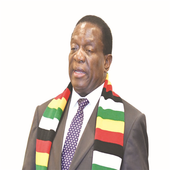 President E D Mnangagwa icon