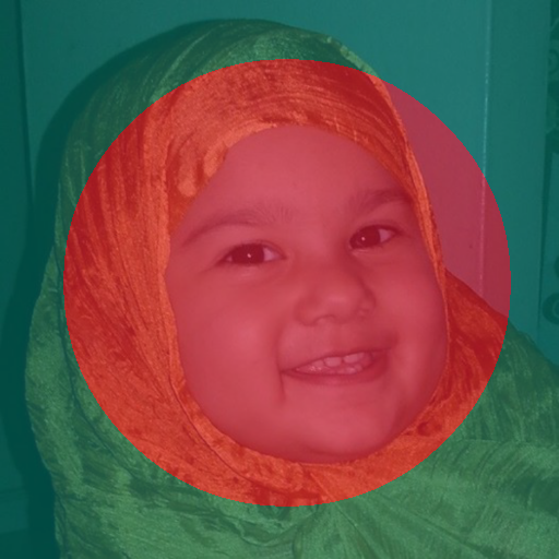 Flag 71 - Profile Flag of Bangladesh أيقونة