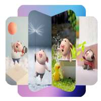 Cute Pig Wallpaper on 9Apps