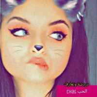 تعارف بنات و شباب chat الحب