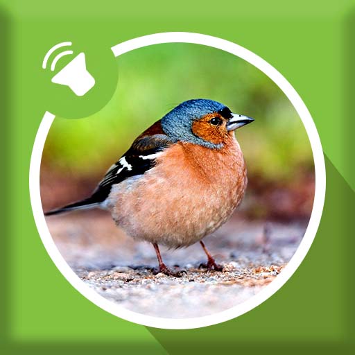 Bird Sounds icon