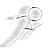 Stick Runner icon