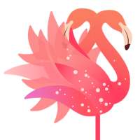 Yom Live Hot Videos & Make Friends Advice