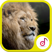 Lion &amp; Tiger Ringtone Sound Collections icon