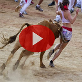 Funny Movies Top icon