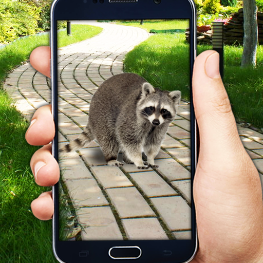 Catching Stray Animals icon