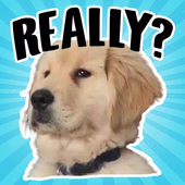 Golden Retriever Stickers for WhatsApp icon