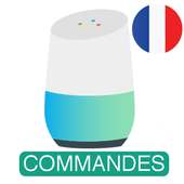 Commandes Française - Google Home (Google Mini)