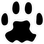 PAW Server icon