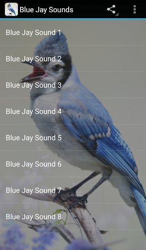 Blue Jay Sounds screenshot 1