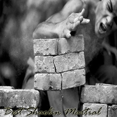 Best Shaolin Martial Arts Movement Training icon