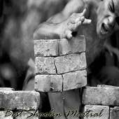 Best Shaolin Martial Arts Movement Training