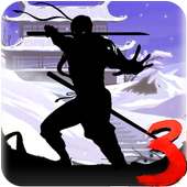 guide Shadow fight 3