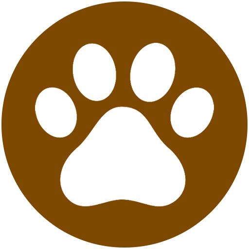 Games For Cats and Kittens icon