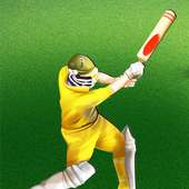 T20 Cricket Challenge